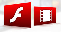 FLASH�Ӯ�����